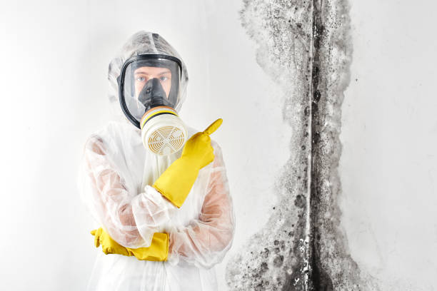 Professional Mold Inspection in Kershaw, SC